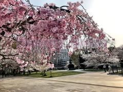 -名古屋城