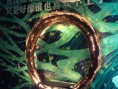 -上海外滩星空艺术馆