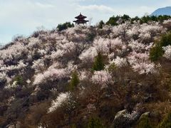 -白水寺森林公园