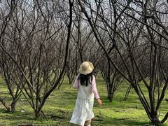 -明秦王墓遗址
