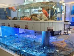 -金苑海鲜酒家(来魅力店)