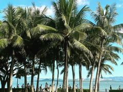 -深圳湾公园(南山区)