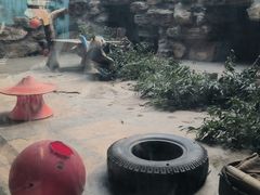 -石家庄市动物园