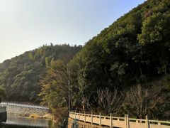 -午潮山国家森林公园