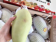 -三亚新鸿港水果一级批发市场