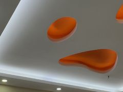 -全心全意连锁动物医院·微创中心·内科急重症·心脏专科(丰管路店)