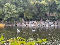 -石家庄市动物园