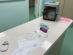 -北京观赏动物医院·24小时大型综合·猫专科·异宠专科