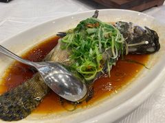 -金翠皇宫粤菜·点心·海鲜(科技园店)
