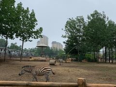 -大连森林动物园