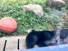 -上方山森林动物世界
