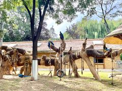 -石家庄市动物园