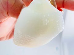 -中国中医科学院望京医院(院本部)
