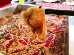 -二荆条·蜀鲜汇城市森林火锅