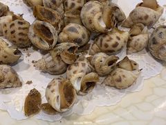 盐焗花螺-揭阳钟记小食(福田新村店)