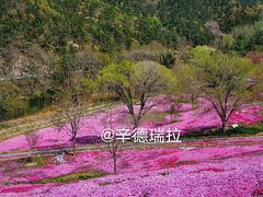 -昆嵛山石门里景区