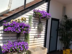 -素心小筑(后沙裕镇店)