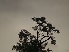 -宣武艺园
