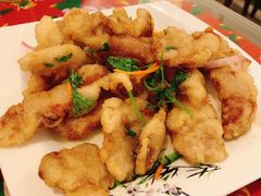 -东北王食府(科大店)