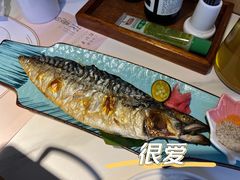 青花鱼-花漫里亲民日式餐厅(万象城店)