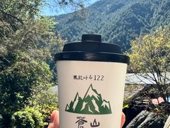 -苍山感通索道