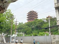 -黄鹤楼公园(黄鹤楼)