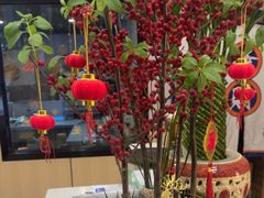 -猫窝棋牌(尚大国际店)