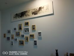 -榕树上·瑜伽普拉提