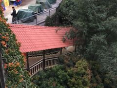 -鲤鱼塘农家山庄