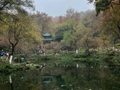 -岳麓山风景名胜区