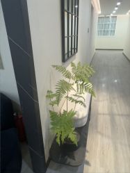 -北京炫美医疗美容