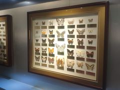 -上海昆虫博物馆