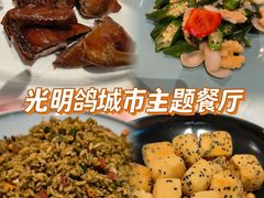 -光明招待所(邦凯科技园店)