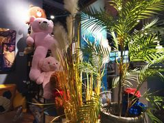 -咖法森林·咖啡  酒吧(天河店)