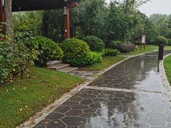 -思念果岭悦温泉