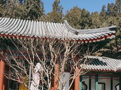 -宫事颐庭·老佛爷贵寿下午茶(颐和园店)