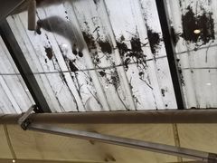 -稀物集咖啡(徽州大道店)
