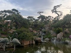 -罗红摄影艺术馆