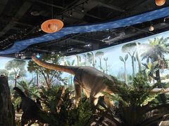 -陕西自然博物馆