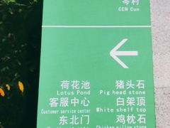 -火炉山森林公园