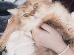 -平行世界·猫咖(首经贸店)
