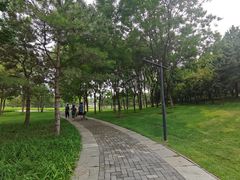 -北坞公园