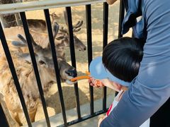 -石家庄市动物园