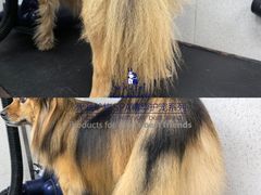 -汪小喵宠物·戴维斯乐芳希施宠馨宝皮毛调理洗护店