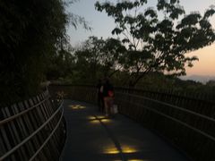 -福道
