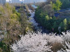 -南京城墙景区