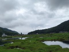 -腾冲北海湿地