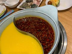 -青瓷火锅料理(西单大悦城店)