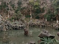 -伯先公园