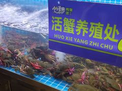 -徐记小怪兽肉蟹煲店(哈西万达金街店)
